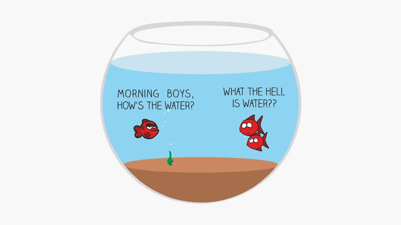This is Water